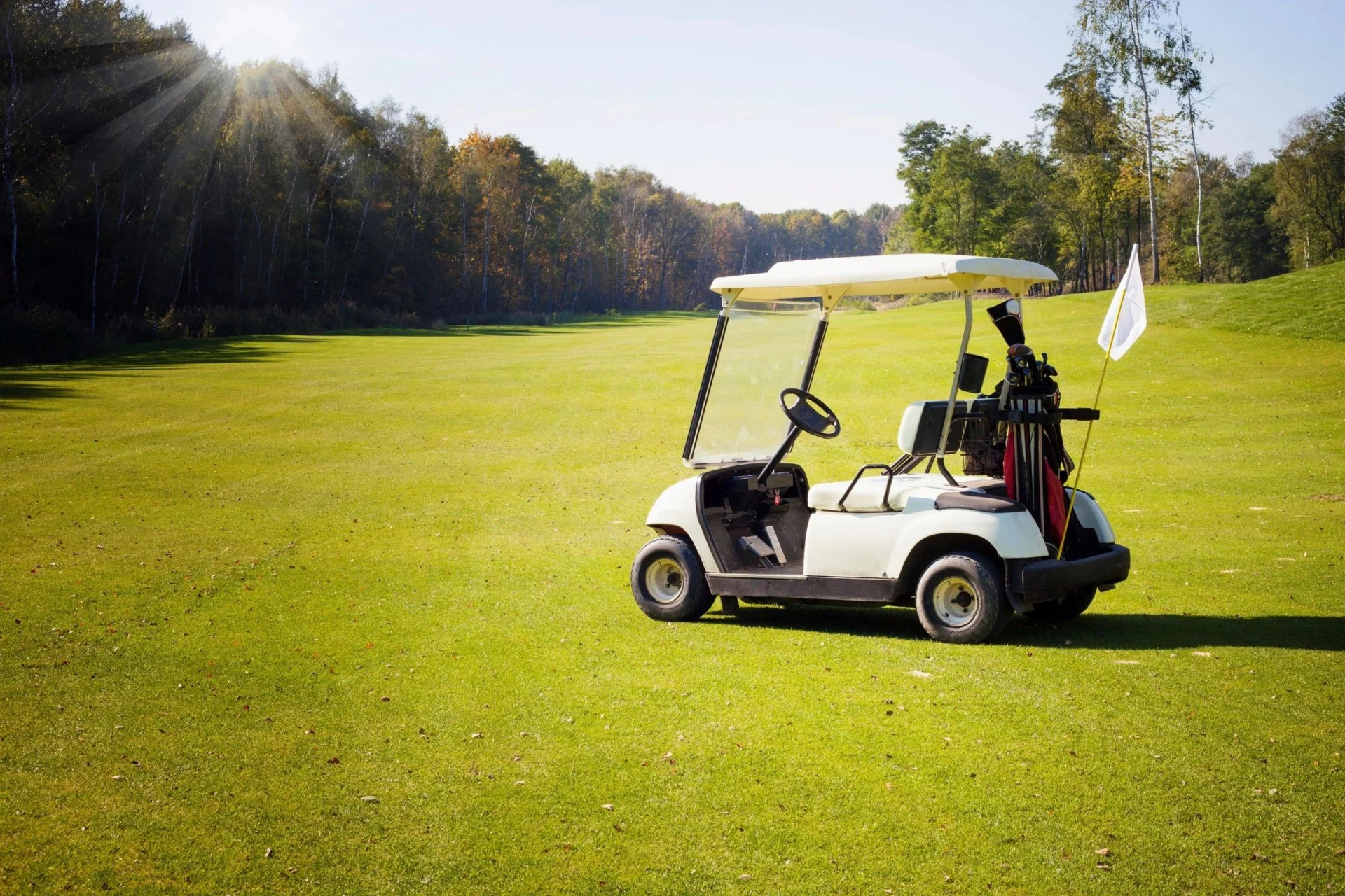A golf cart is parked in the grass.