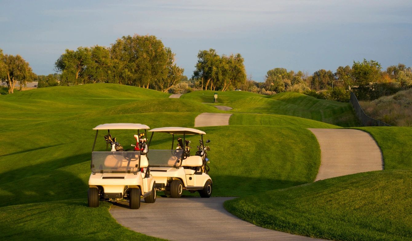 Two golf carts are parked on a path.